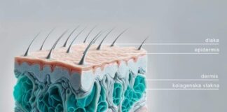 Uloga kolagena u izgledu koze i tijela: kako ocuvati cvrstocu, elasticnost i mladolik izgled
