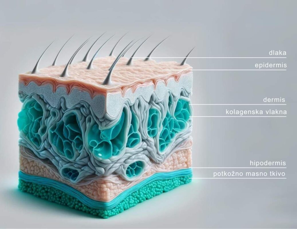 Uloga kolagena u izgledu kože i tijela